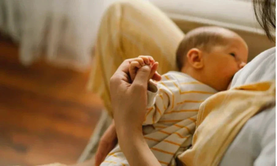 berberine for breastfeeding