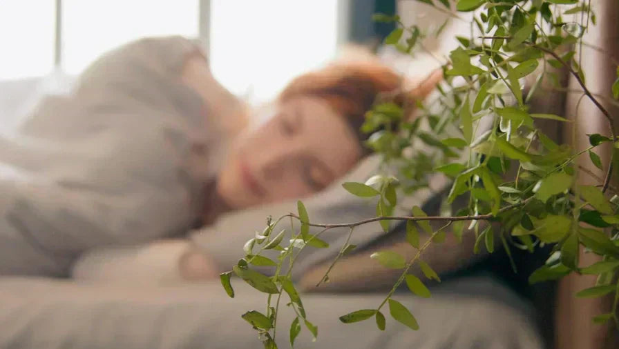 supplements for sleep