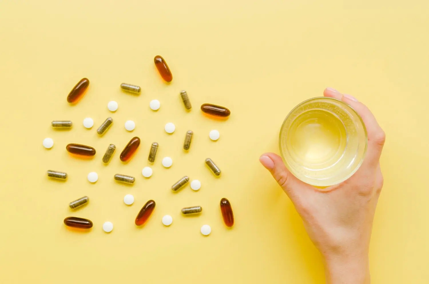 Which Longevity Supplement Brand Is Best?