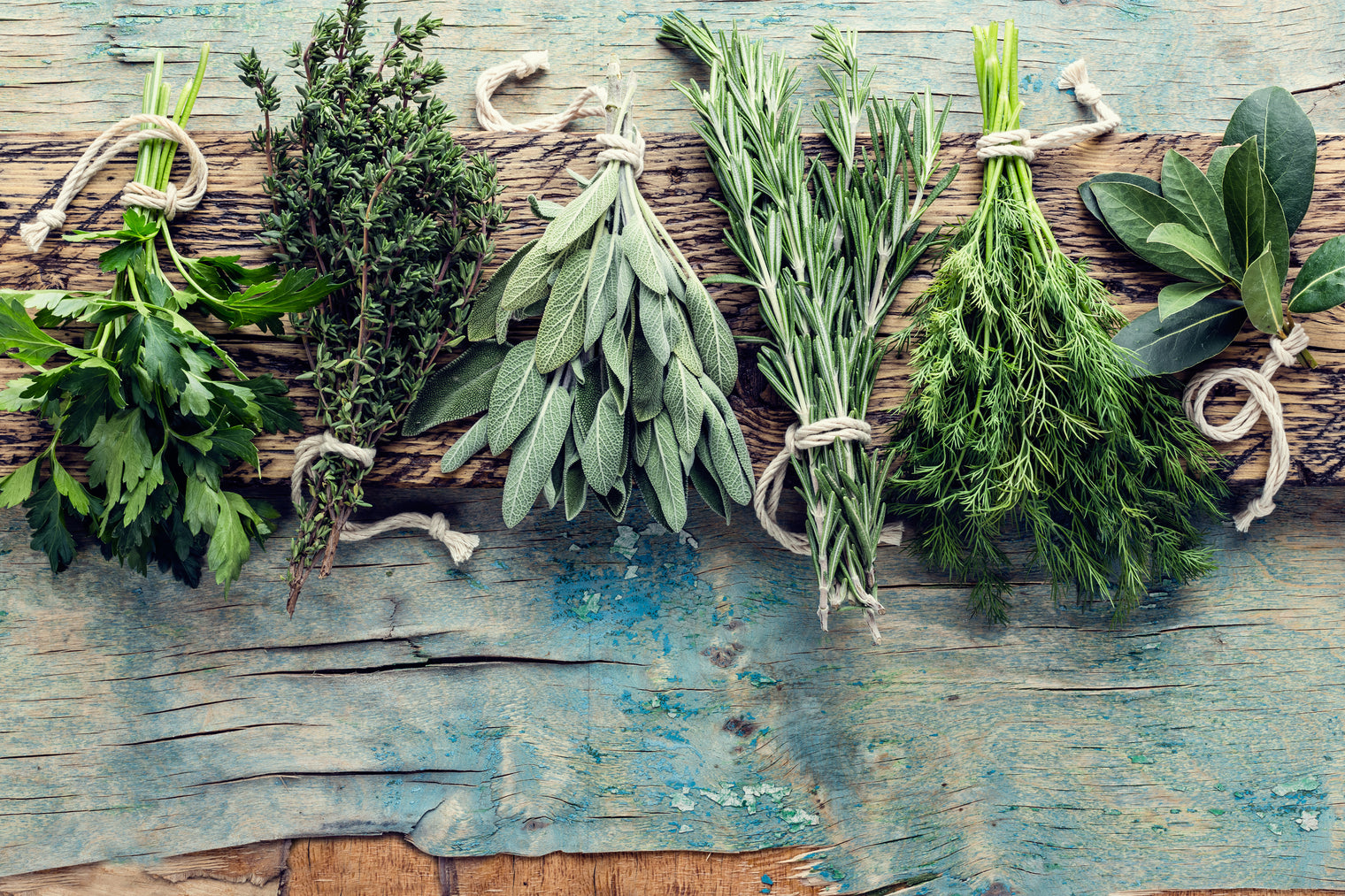 best herbs for hangover