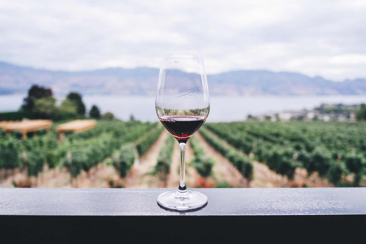 why are wine hangovers bad