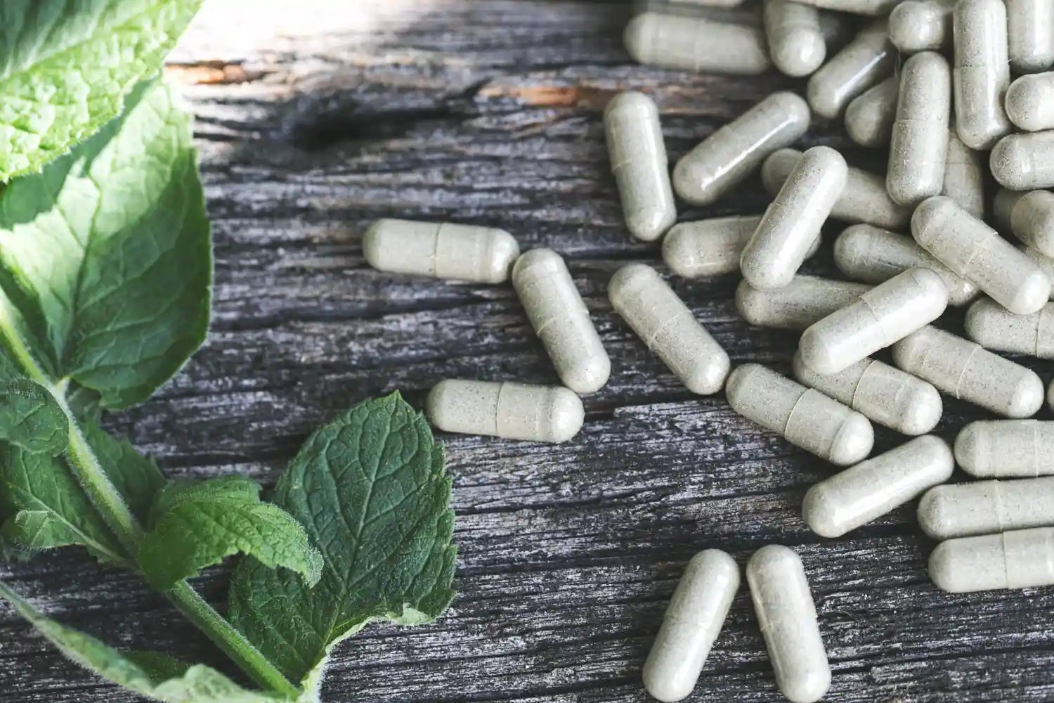 Proven Enhancement Strategies to increase NAD levels