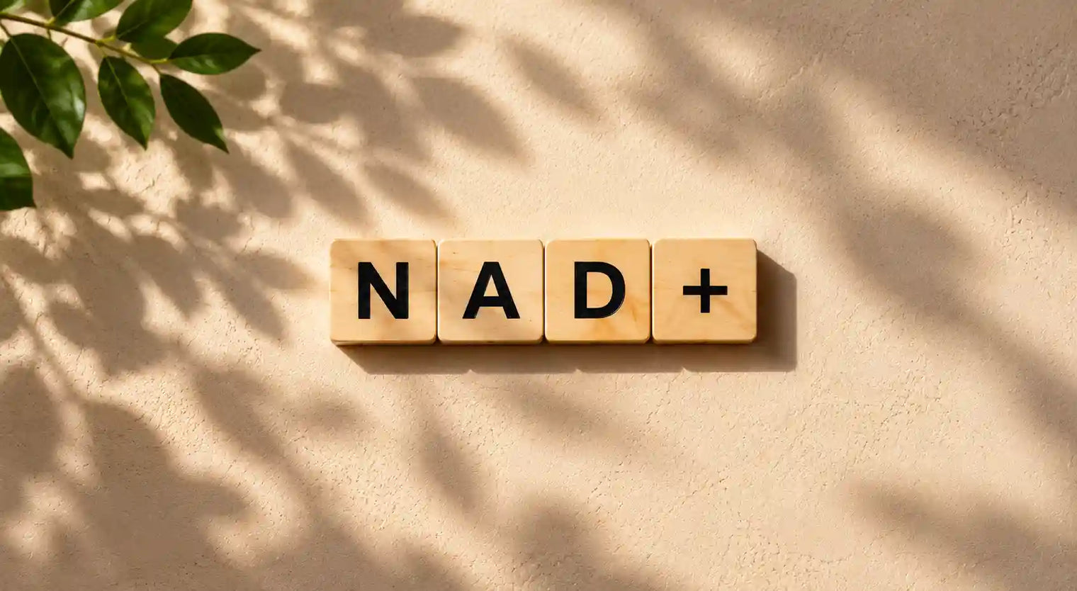 what happens before and after NAD+ treatments