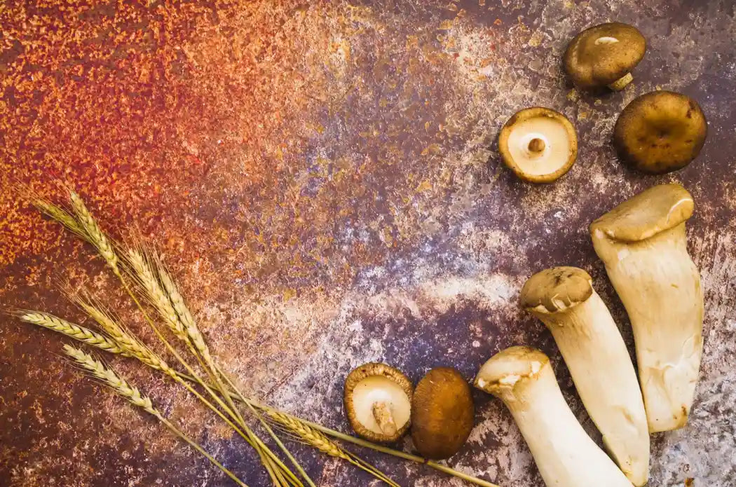 Foods High in Spermidine
