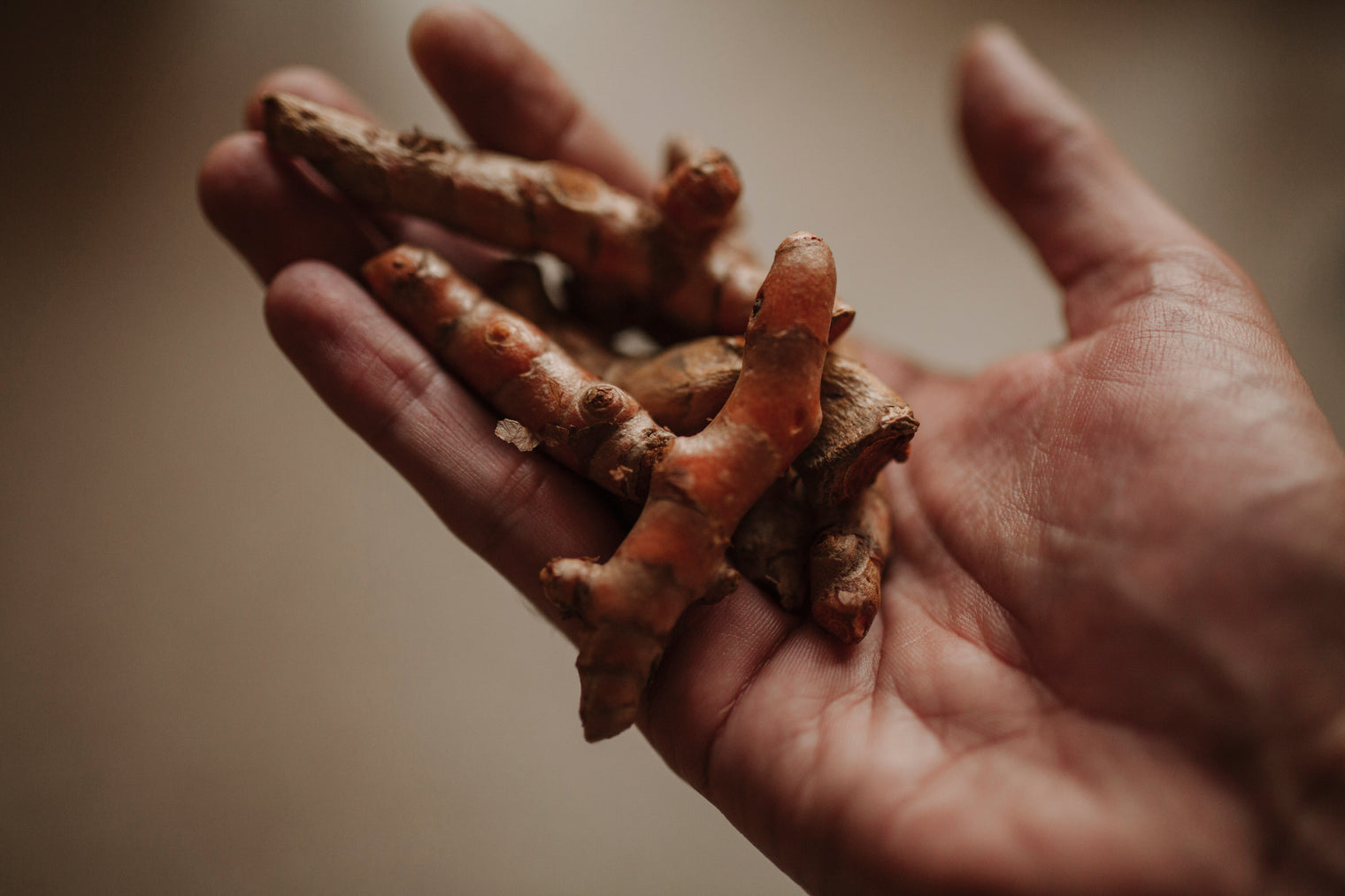 turmeric bioavailability 